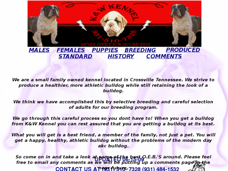 www.mybullie.com