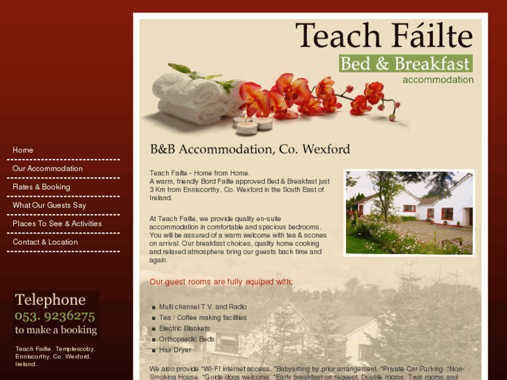 www.teachfailte.com