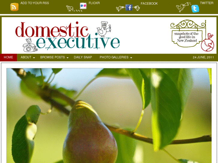 www.domestic-executive.com