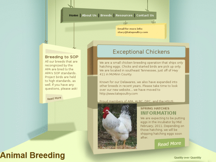 www.exceptionalchickens.com