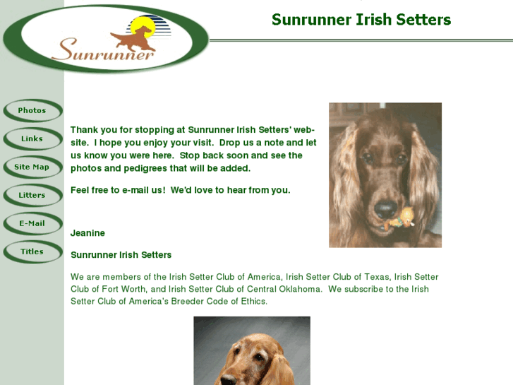 www.sunrunnerirish.com