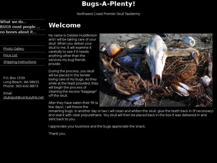 www.bugsaplenty.com