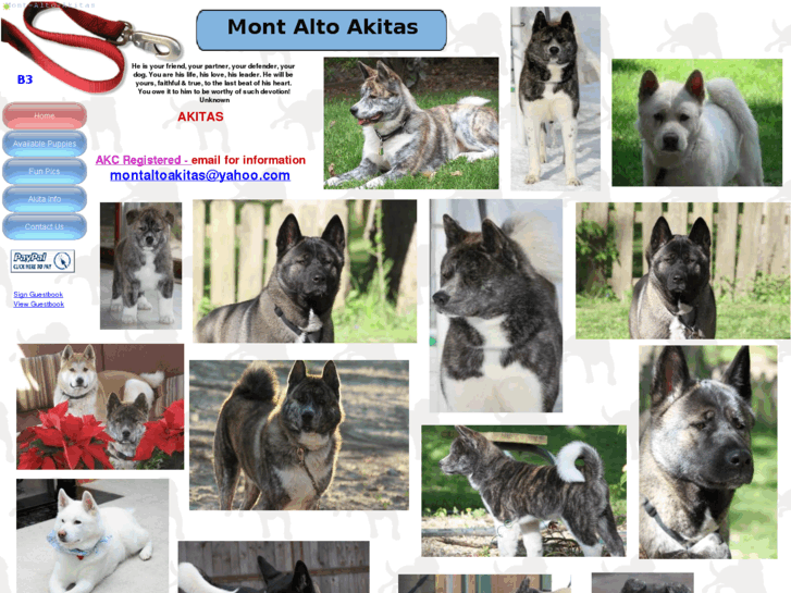 www.mont-alto-akitas.com