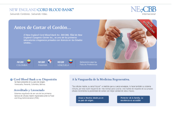 www.necbbinternacional.com