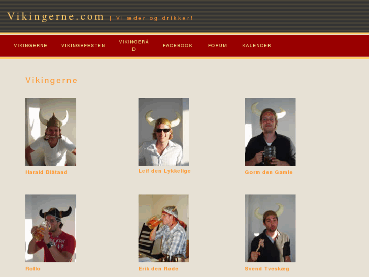 www.vikingerne.com