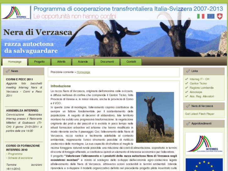 www.neraverzasca.com