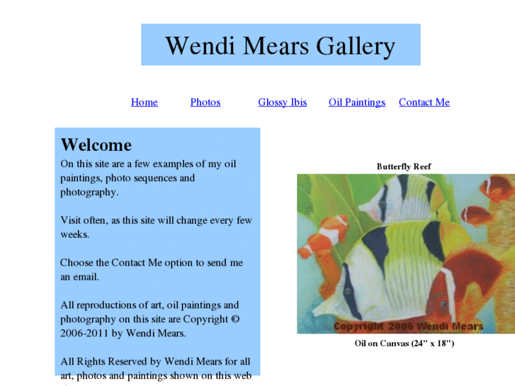 www.wendimears.com