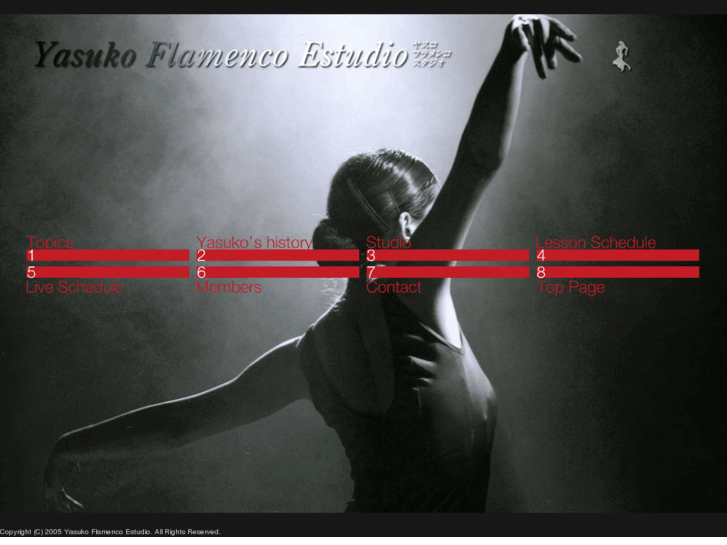 www.yasuko-flamenco.com