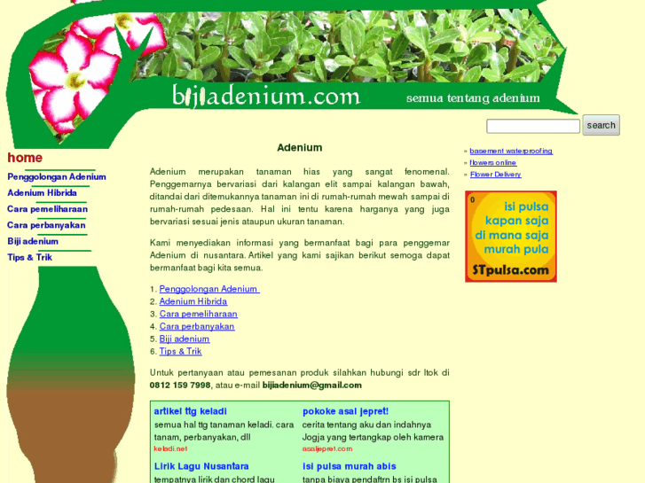 www.bijiadenium.com