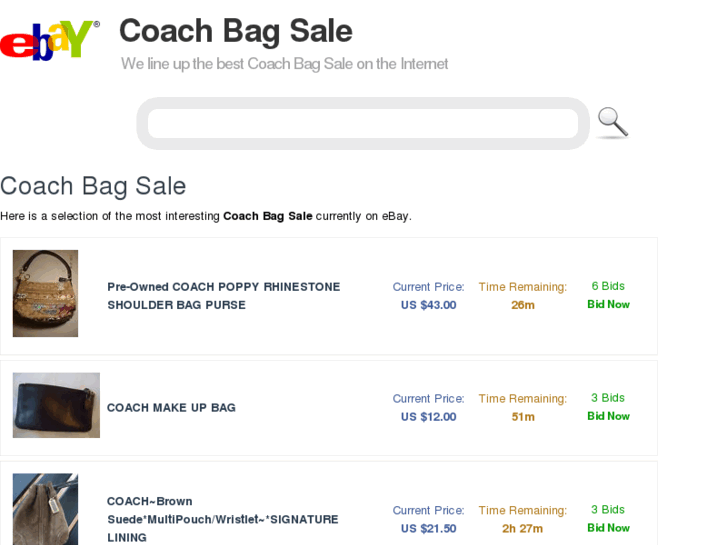 www.coachbagsusa.com