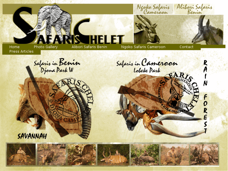 www.newsafaris.com