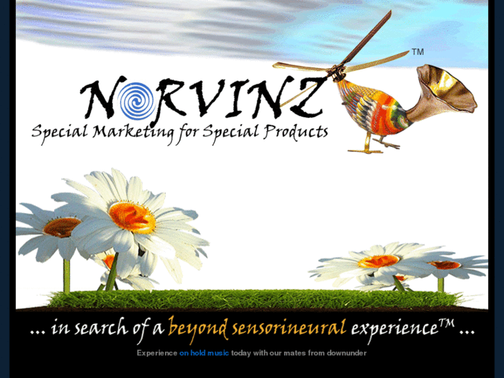 www.norvinz.com