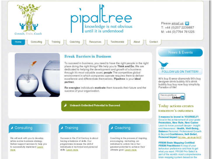 www.pipaltree.net
