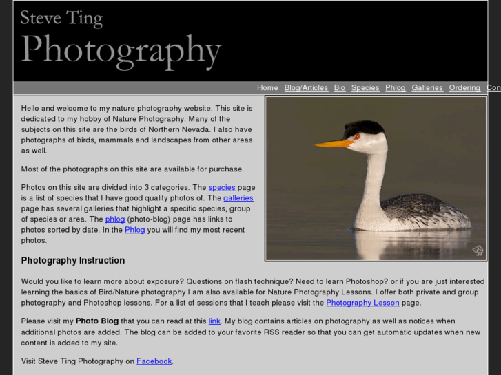 www.stingphotography.com