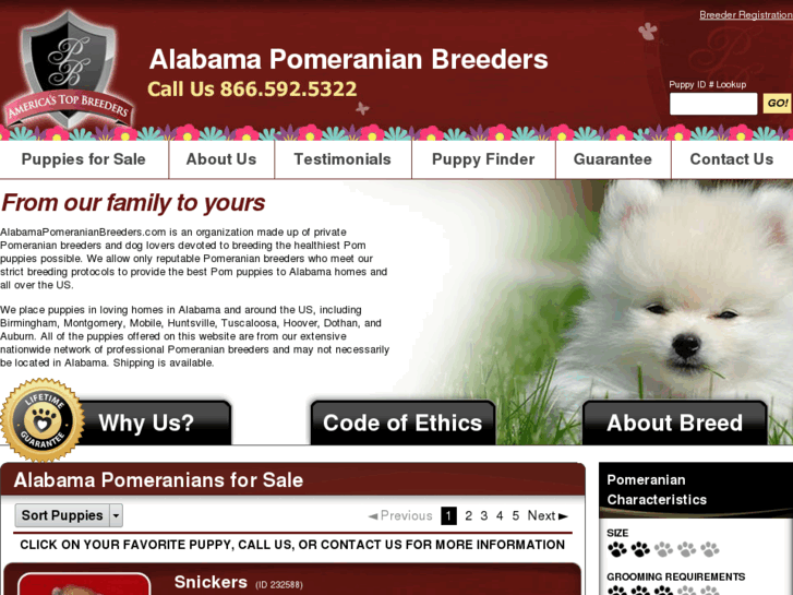 www.alabamapomeranianbreeders.com