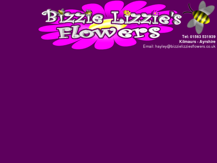 www.bizzielizziesflowers.co.uk