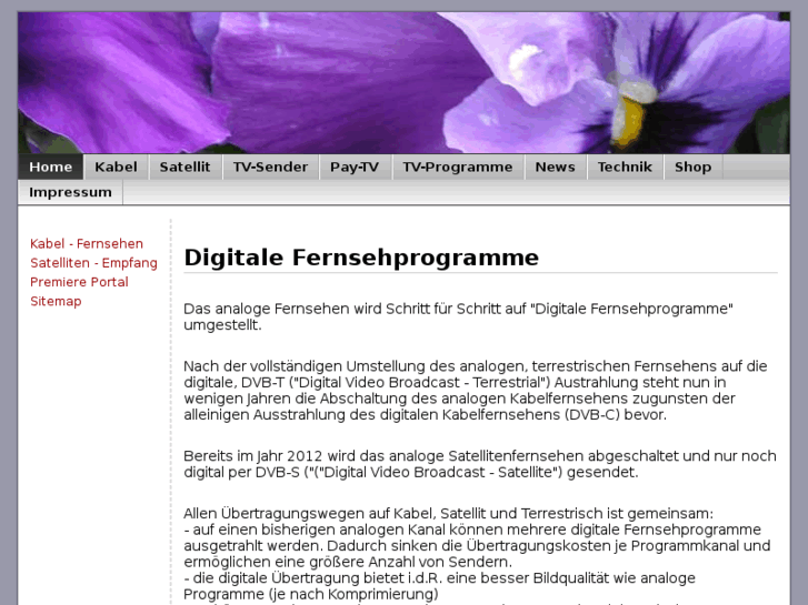 www.digitale-fernsehprogramme.de