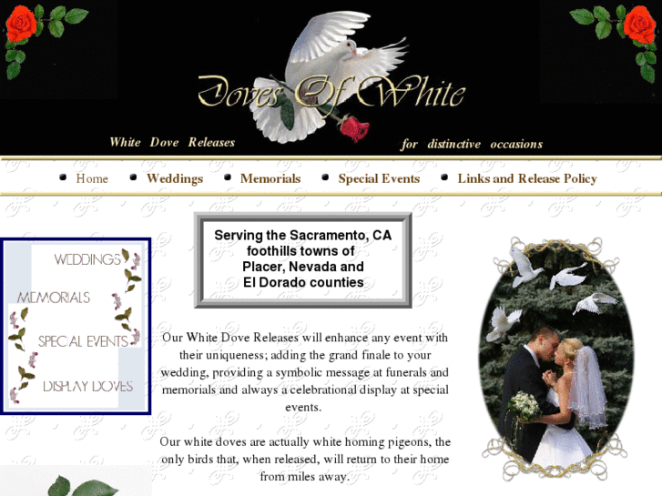 www.dovesofwhite.com