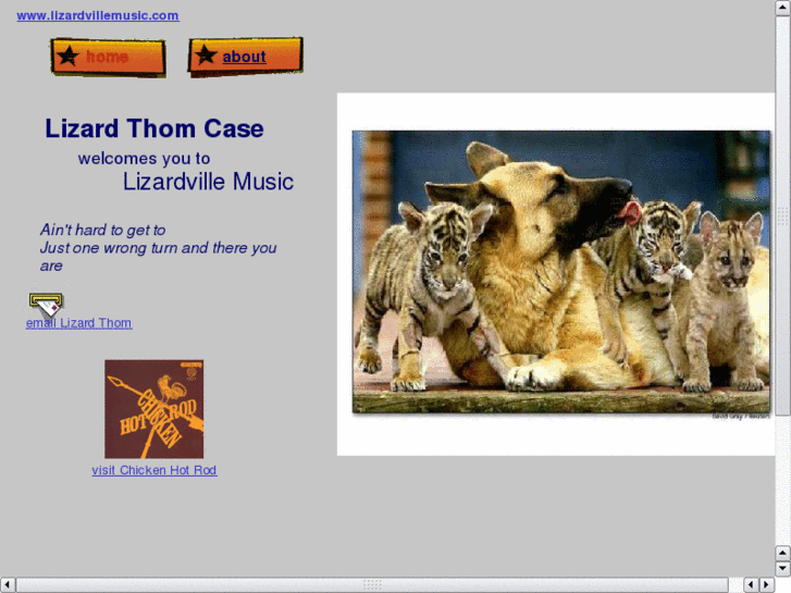 www.lizardvillemusic.com