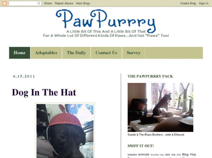 www.pawpurrry.com