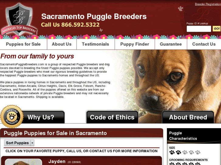 www.sacramentopugglebreeders.com