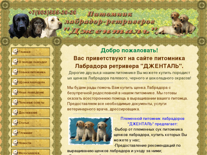 www.labrador3.ru