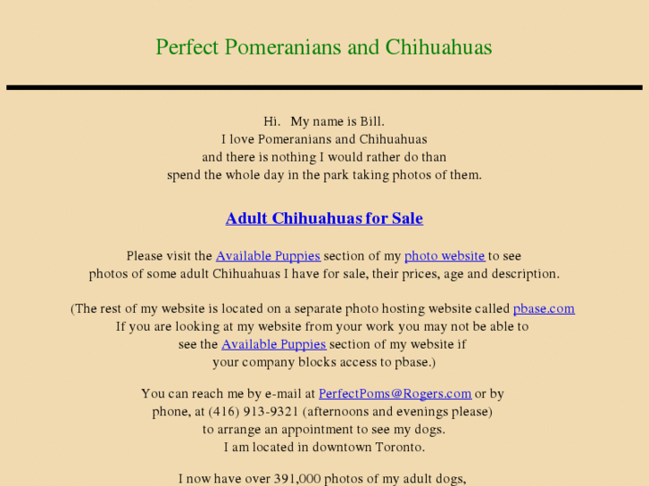 www.perfectchihuahuas.com