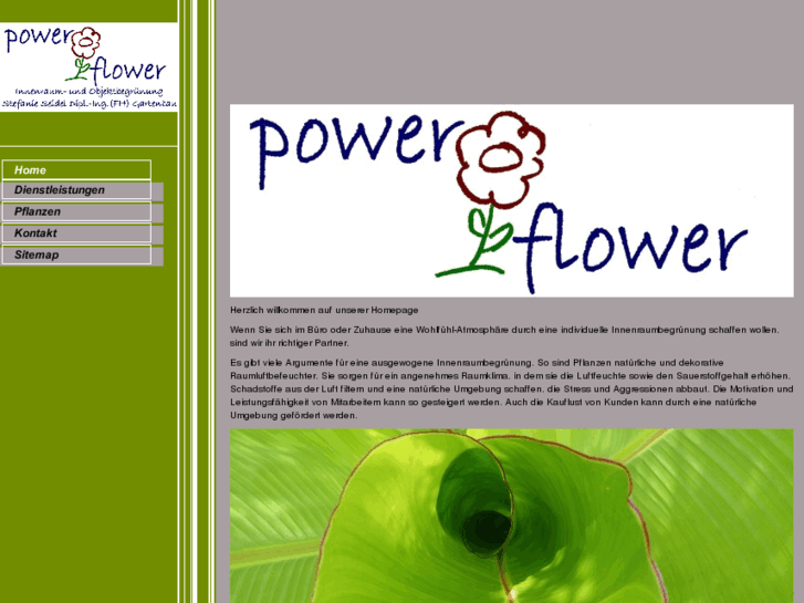 www.power-flower.info