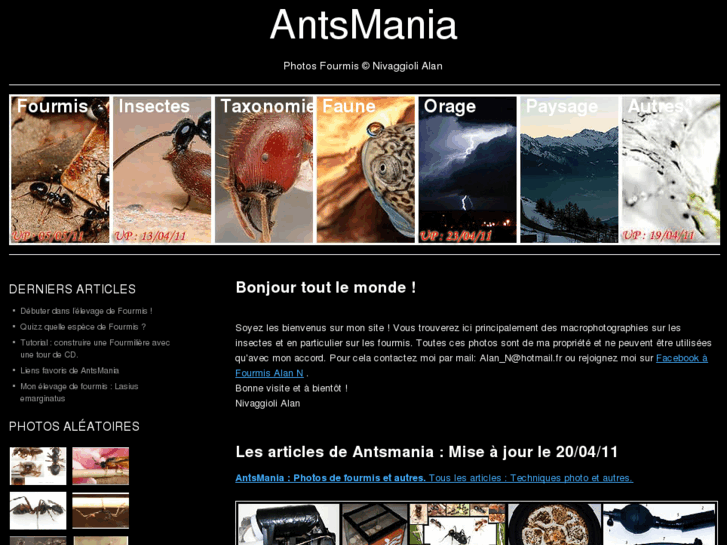 www.antsmania.com