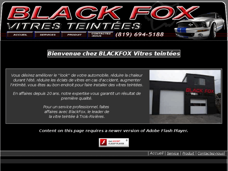 www.blackfoxvitresteintees.com