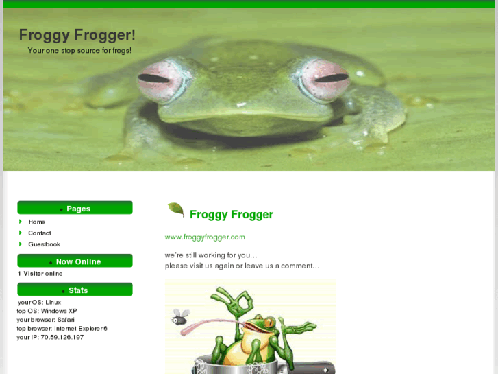 www.froggyfrogger.com