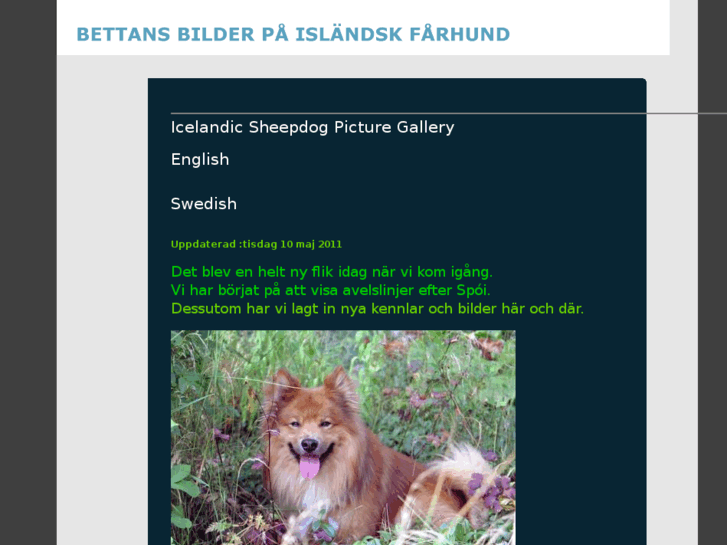 www.icelandic-sheepdog-picture-gallery.com