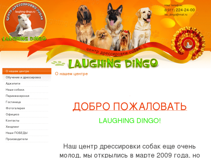 www.lau-dingo.ru