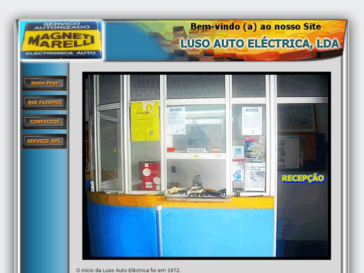 www.lusoautoelectrica.com