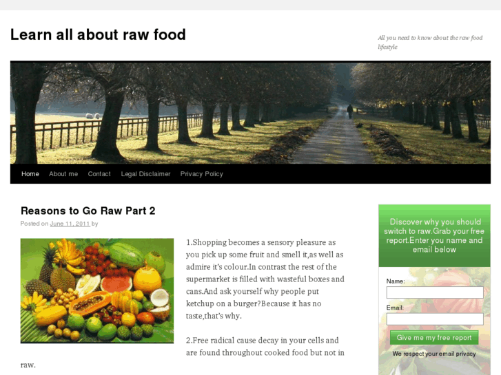 www.rawfood-now.com