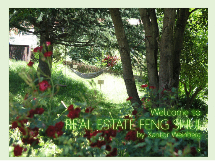 www.real-estate-feng-shui.com