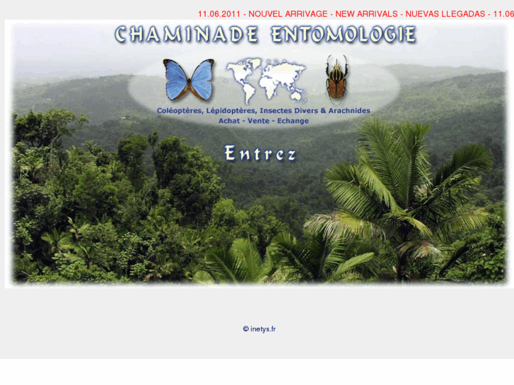www.chaminade-entomologie.com