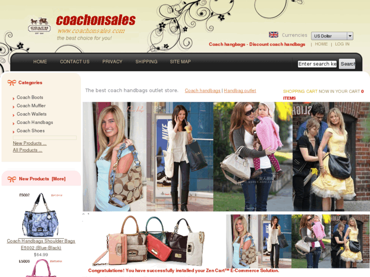 www.coachonsales.com