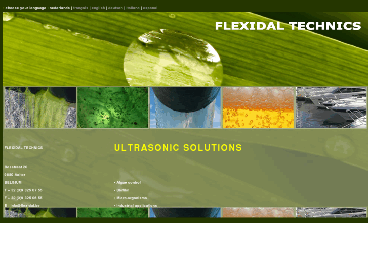 www.flexidal.com