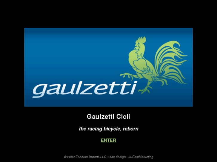 www.gaulzetticicli.com