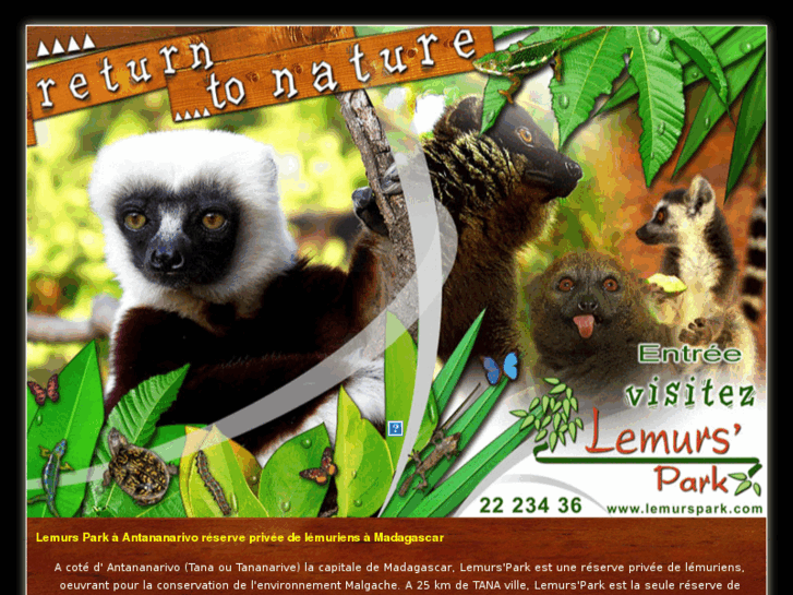 www.lemurspark.com