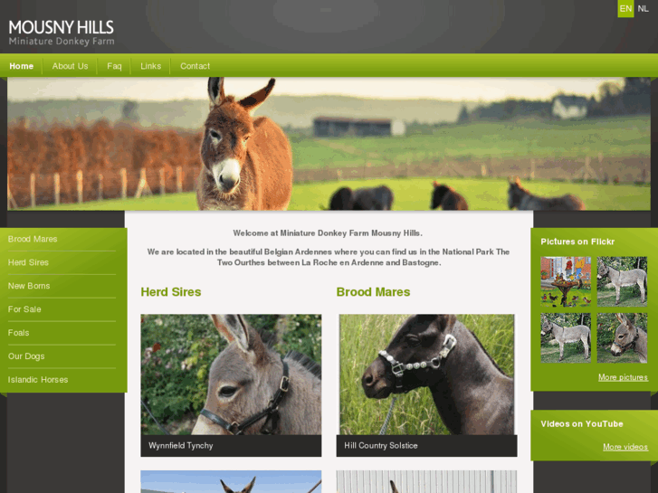 www.minidonkey.be