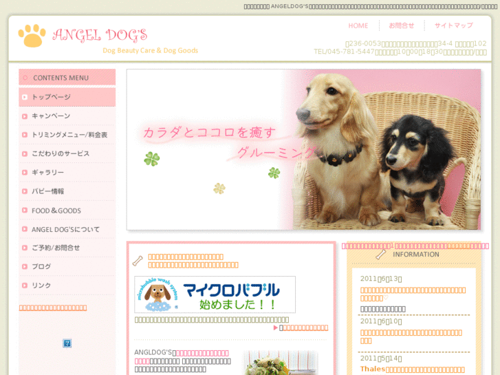 www.angeldogs.jp