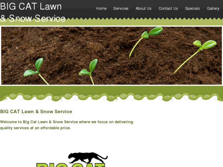 www.bigcatllc.net