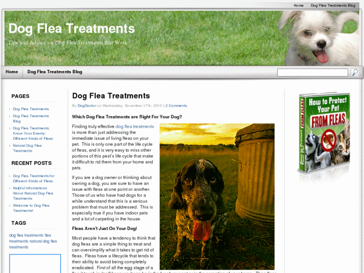 www.dogfleatreatments.net