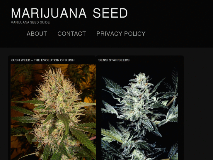 www.marijuana-seed.org