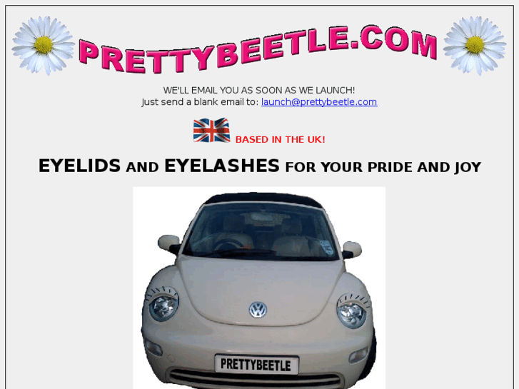 www.prettybeetle.com