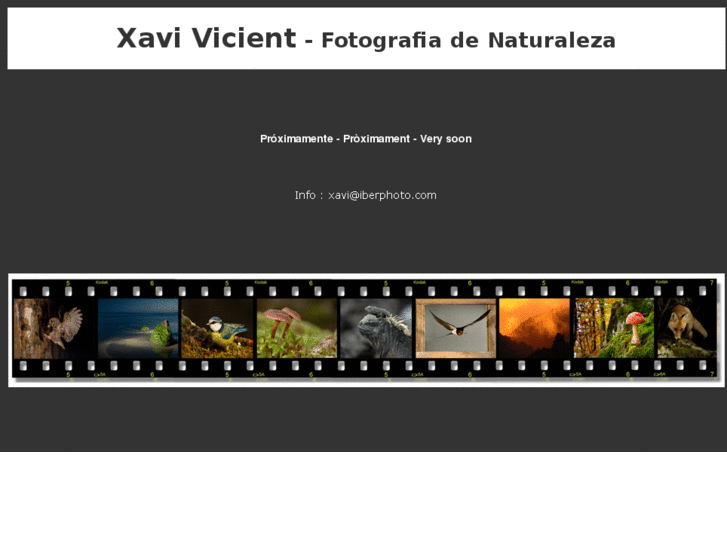 www.xavivicient.com