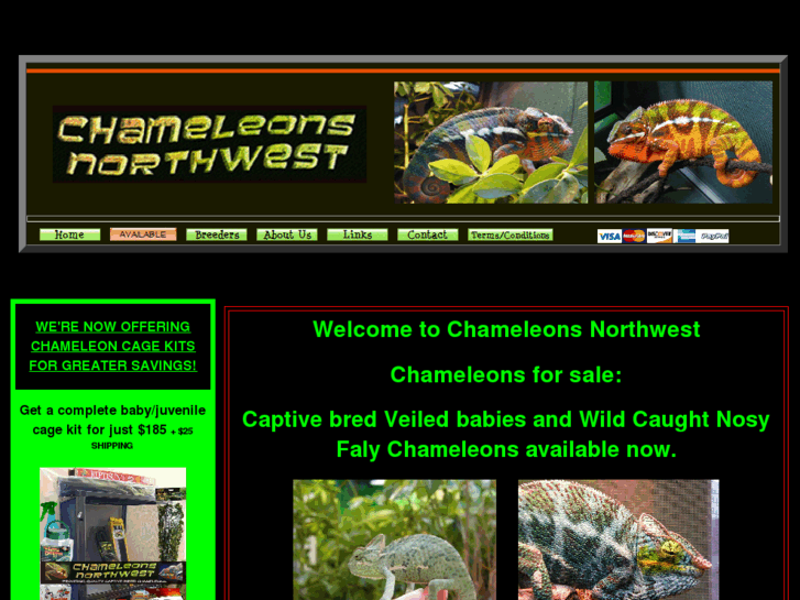 www.chameleonsnorthwest.com