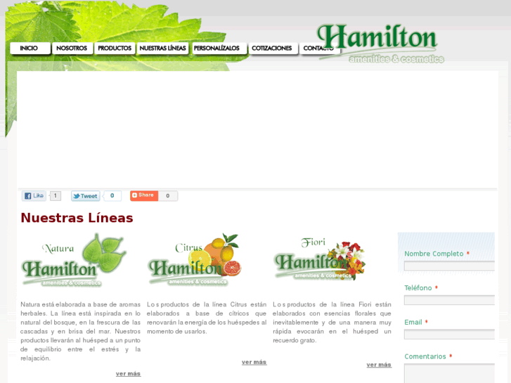 www.hamiltonamenities.com